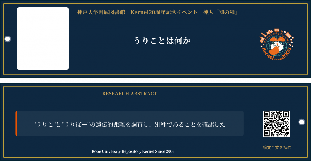 Kernel20参加賞_しおり